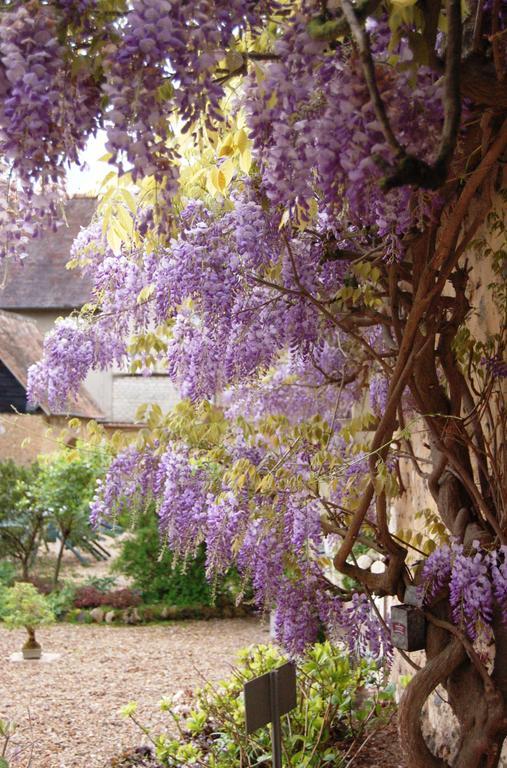 La Chaiserie La Croix-Saint-Leufroy Exteriér fotografie